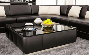 Stricker Leather Sectional with LED Light